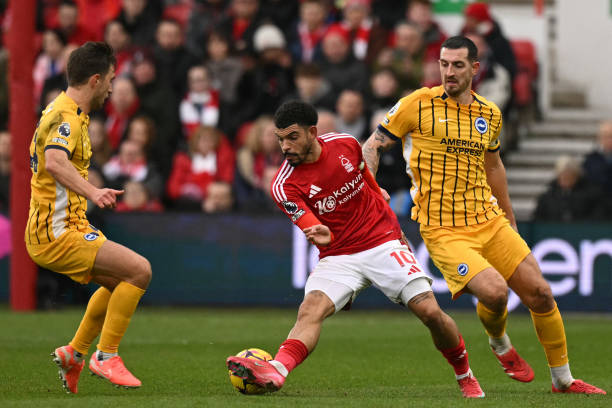 这一消息无 这一消息无