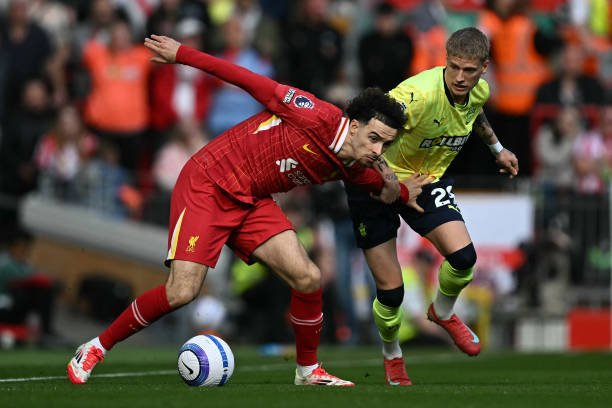 参与其中 参与其中