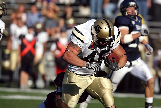 韦尔斯的拉 韦尔斯的拉